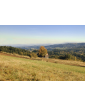 Gospodarstwo agroturystyczne