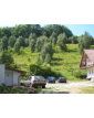 Gospodarstwo agroturystyczne