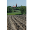 Skoszewy Stare (fot. K. Krakowska)