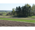 Krajobraz w okolicach Buczka (fot. H.Andrzejewski)