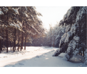 (Robert Miklaszewski4)