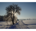 Zima w Nieckach (fot. K. Krakowska)