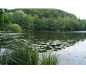 Fot. D. Janicka - Rezerwat Przyrody 