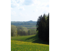Góra Cisowa
fot. T. Świerubska