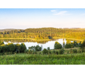 fot. T. Świerubska