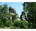 Rezerwat przyrody Prządki im. prof. Henryka Świdzińskiego (fot. Archiwum ZKPK w Krośnie)
