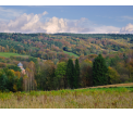 Rzepnik