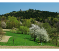 Widok na Prządki z Podzamcza (fot. Artur Kuliga)