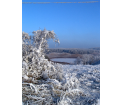 Jezioro Linówek
fot. T. Świerubska