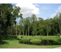 Park Pałacowy