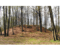 Stożek grodziska