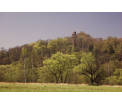 fot. arch. DZPK