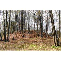 Grodziska