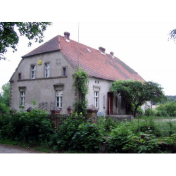 Kaszuba