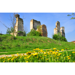 Majkowice - zamek