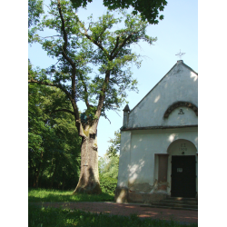 Kaplica dworska z 1842 r. w Rembieszowie