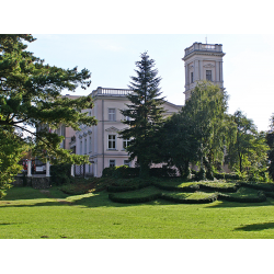 Pałac w Miłosławiu