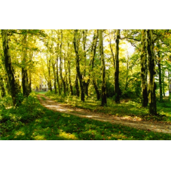 Rozbitek - dwór, park, kaplica grobowa, zespół folwarczny
