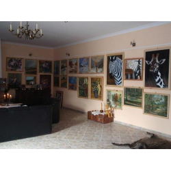 Galeria 