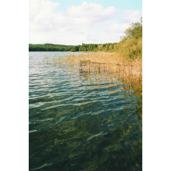 KARWOWO  (dawniej Carow)