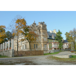 Pałac w Kłonicach