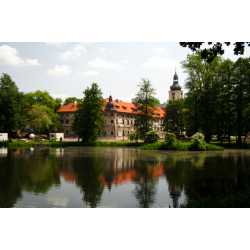 Zespół Klasztorno-pałacowy (Rudy gm. Kuźnia Raciborska)