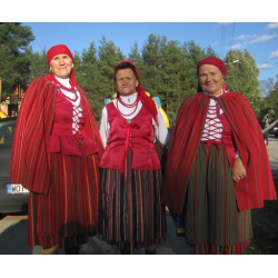 Charakterystyka regionu kołbielskiego   
