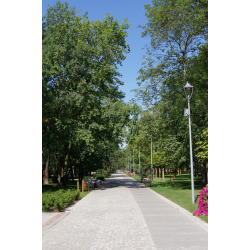 Park zdrojowy w Konstancinie-Jeziornie