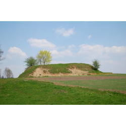 Grodzisko w Radoszkach