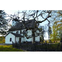 Roszczyce