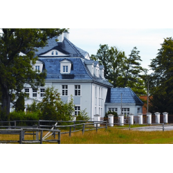 Ulinia