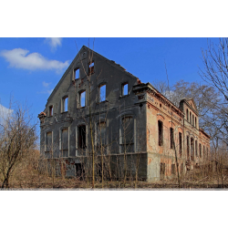 Pałac w Zimnej Brzeźnicy