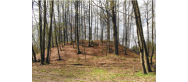 Grodziska