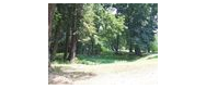 Park zamkowy w Karłowicach, ul. Młyńska