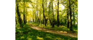 Rozbitek - dwór, park, kaplica grobowa, zespół folwarczny