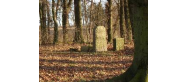 Cmentarzyk rodziny von Diest