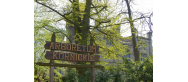 Arboretum Kórnickie