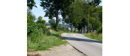 Sulicice