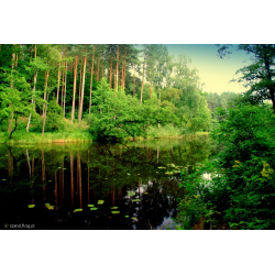 Rzeka Skarlanka