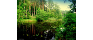 Rzeka Skarlanka