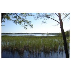 Jezioro Skomielno / Skomelno