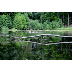 Łagowsko – Sulęciński Park Krajobrazowy