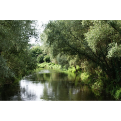 Natura - Nowe Miasto Lubawskie - Przyroda  ATRAKCJE KRAJOZNAWCZE