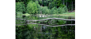 Łagowsko – Sulęciński Park Krajobrazowy