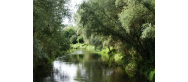 Natura - Nowe Miasto Lubawskie - Przyroda  ATRAKCJE KRAJOZNAWCZE