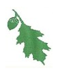 Kontrahent