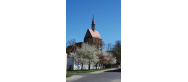 Kościół Mariacki